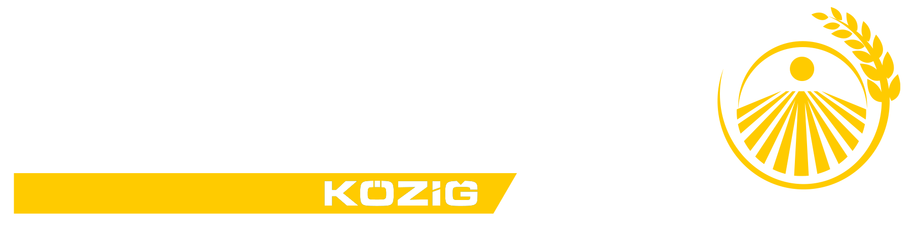 KZGAGRO Logo